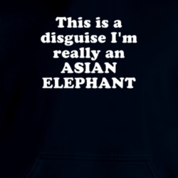 This Is A Disguise I'm Really An Asian Elephant Funny Animal Hooded Pullover 18413145