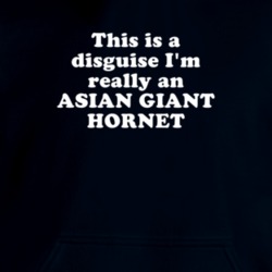 This Is A Disguise I'm Really An Asian Giant Hornet Funny Animal Hooded Pullover 18413147