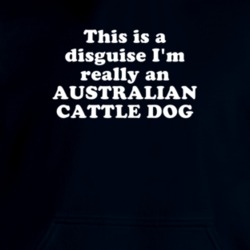 This Is A Disguise I'm Really An Australian Cattle Dog Funny Animal Hooded Pullover 18413155