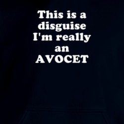 This Is A Disguise I'm Really An Avocet Funny Animal Hooded Pullover 18413167