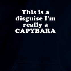 This Is A Disguise I'm Really A Capybara Funny Animal Hooded Pullover 18413247