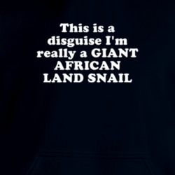 This Is A Disguise I'm Really A Giant African Land Snail Funny Animal Hooded Pullover 18413433