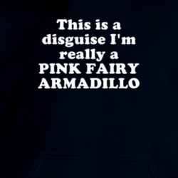 This Is A Disguise I'm Really A Pink Fairy Armadillo Funny Animal Hooded Pullover 18413676