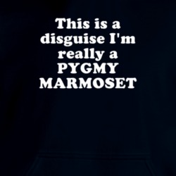 This Is A Disguise I'm Really A Pygmy Marmoset Funny Animal Hooded Pullover 18413705