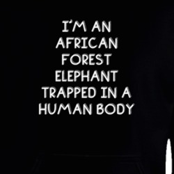I'm An African Forest Elephant Trapped In A Human Body Funny Zoo Animal Hooded Pullover 18431041