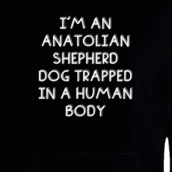 I'm An Anatolian Shepherd Dog Trapped In A Human Body Funny Zoo Animal Hooded Pullover 18431239
