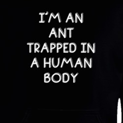 I'm An Ant Trapped In A Human Body Funny Zoo Animal Hooded Pullover 18431254