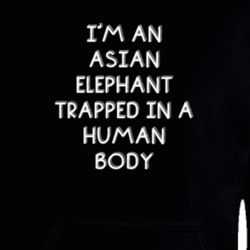 I'm An Asian Elephant Trapped In A Human Body Funny Zoo Animal Hooded Pullover 18431321