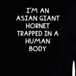 I'm An Asian Giant Hornet Trapped In A Human Body Funny Zoo Animal Hooded Pullover 18431329