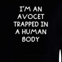 I'm An Avocet Trapped In A Human Body Funny Zoo Animal Hooded Pullover 18431375