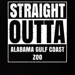 Straight Outta Alabama Gulf Coast Zoo Zoo Animals Wildlife Compton Parody T Shirt 22649628
