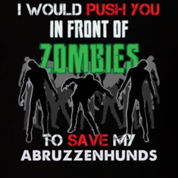 I Would Push You In Front Of Zombies To Save My Abruzzenhunds Funny Animal T Shirt 26784229
