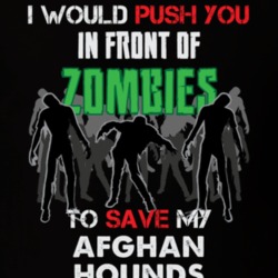 I Would Push You In Front Of Zombies To Save My Afghan Hounds Funny Animal T Shirt 26784254
