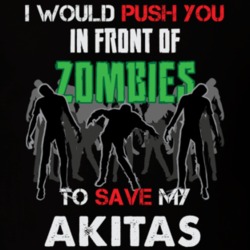I Would Push You In Front Of Zombies To Save My Akitas Funny Animal T Shirt 26784295