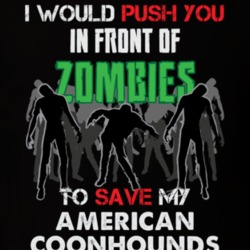 I Would Push You In Front Of Zombies To Save My American Coonhounds Funny Animal T Shirt 26784337