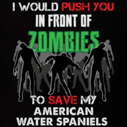 I Would Push You In Front Of Zombies To Save My American Water Spaniels Funny Animal T Shirt 26784403
