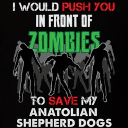 I Would Push You In Front Of Zombies To Save My Anatolian Shepherd Dogs Funny Animal T Shirt 26784421
