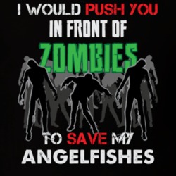 I Would Push You In Front Of Zombies To Save My Angelfishes Funny Animal T Shirt 26784427
