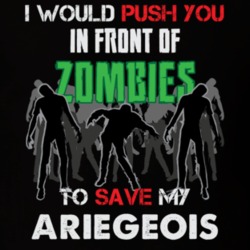 I Would Push You In Front Of Zombies To Save My Ariegeois Funny Animal T Shirt 26784522