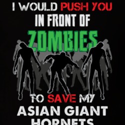 I Would Push You In Front Of Zombies To Save My Asian Giant Hornets Funny Animal T Shirt 26784569