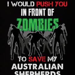 I Would Push You In Front Of Zombies To Save My Australian Shepherds Funny Animal T Shirt 26784720