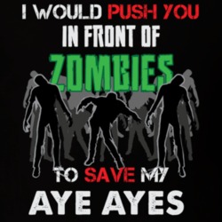 I Would Push You In Front Of Zombies To Save My Aye Ayes Funny Animal T Shirt 26784762