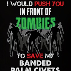 I Would Push You In Front Of Zombies To Save My Banded Palm Civets Funny Animal T Shirt 26784834