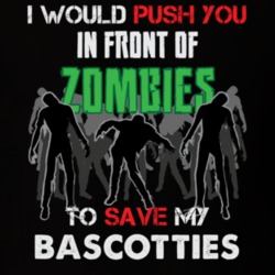 I Would Push You In Front Of Zombies To Save My Bascotties Funny Animal T Shirt 26784919