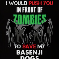 I Would Push You In Front Of Zombies To Save My Basenji Dogs Funny Animal T Shirt 26784933