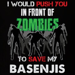 I Would Push You In Front Of Zombies To Save My Basenjis Funny Animal T Shirt 26784945