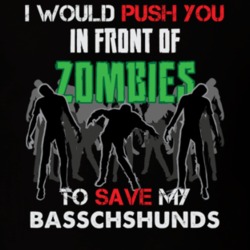 I Would Push You In Front Of Zombies To Save My Basschshunds Funny Animal T Shirt 26785000