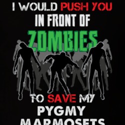 I Would Push You In Front Of Zombies To Save My Pygmy Marmosets Funny Animal T Shirt 26787361