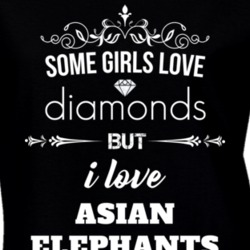 Some Girls Love Diamonds But I Love Asian Elephants Funny Animal Lover T Shirt 27067333