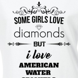 Some Girls Love Diamonds But I Love American Water Spaniels Funny Animal Lover T Shirt 27067340