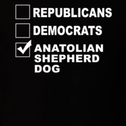 Republicans Democrats Anatolian Shepherd Dog Funny Animal Lovers T Shirt 36221610