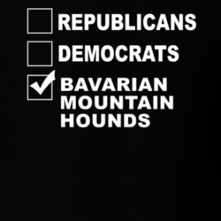 Republicans Democrats Bavarian Mountain Hounds Funny Animal Lovers T Shirt 36221708