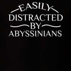 Easily Distracted By Abyssinians Funny Animal Lovers T Shirt 36293896