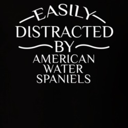 Easily Distracted By American Water Spaniels Funny Animal Lovers T Shirt 36293935