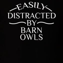 Easily Distracted By Barn Owls Funny Animal Lovers T Shirt 36293976
