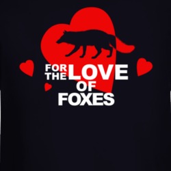 For The Love Of Foxes Cute Animal Lovers Long Sleeve 36421928