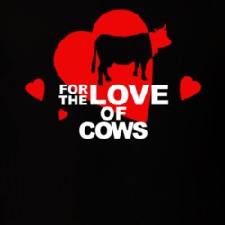 For The Love Of Cows Cute Animal Lovers T Shirt 36421941