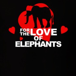 For The Love Of Elephants Cute Animal Lovers T Shirt 36421966
