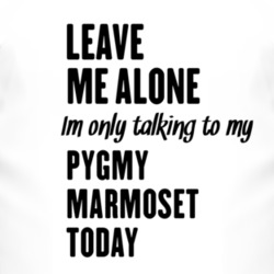Only Talking To My Pygmy Marmoset Today Funny Animal T Shirt 4228727