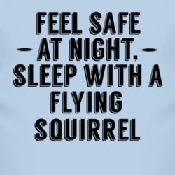 Feel Safe Sleep With A Flying Squirrel Funny Animal T Shirt 4237714