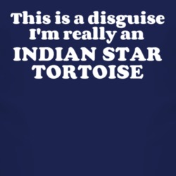 This Is A Disguise Im Really An Indian Star Tortoise Funny Animal T Shirt 4450913