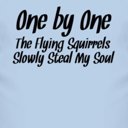 One By One Flying Squirrels Steal My Soul Funny Animal T Shirt 4453981