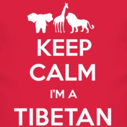 Keep Calm Im Tibetan Mastiff Funny Zoo Animal T Shirt 4555566