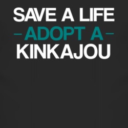 Kinkajou Save A Life Adopt An Animal T Shirt 4824639