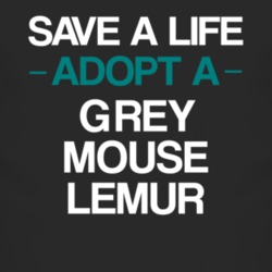 Grey Mouse Lemur Save A Life Adopt An Animal T Shirt 4826721