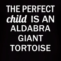 Aldabra Giant Tortoise The Perfect Child Animal T Shirt 4853684